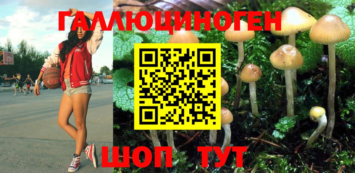 Псилоцибиновые грибы GOLDEN TEACHER Ликино-Дулёво